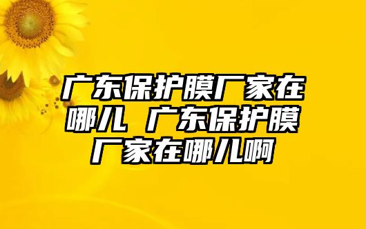 廣東保護膜廠家在哪兒 廣東保護膜廠家在哪兒啊