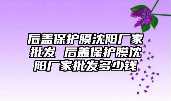 后蓋保護膜沈陽廠家批發(fā) 后蓋保護膜沈陽廠家批發(fā)多少錢